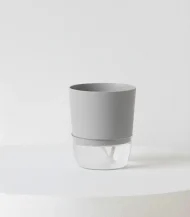 Self Watering Pot ( Easy Plant Care Solution ) - Image 5