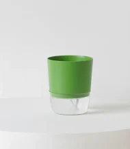 Self Watering Pot ( Easy Plant Care Solution ) - Image 6