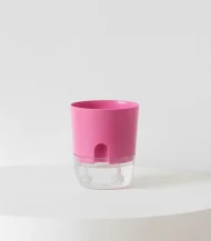 Self Watering Pot ( Easy Plant Care Solution ) - Image 9