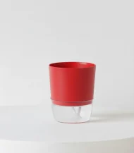 Self Watering Pot ( Easy Plant Care Solution ) - Image 10