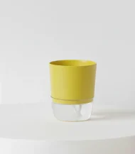 Self Watering Pot ( Easy Plant Care Solution ) - Image 11